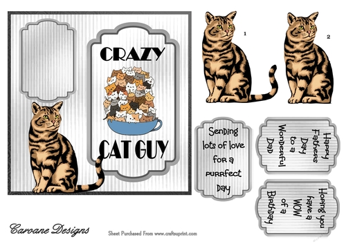 Crazy Cat Guy 4 - 6x6 inch card front with decoupage