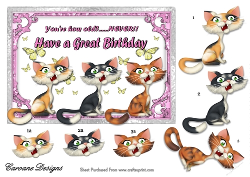 Three Cheeky Cats Ladies Version - 7x5 inch card front with decoupage