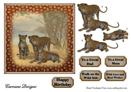 Walk on the Wild Side 1 - 6x6 inch card front with decoupage