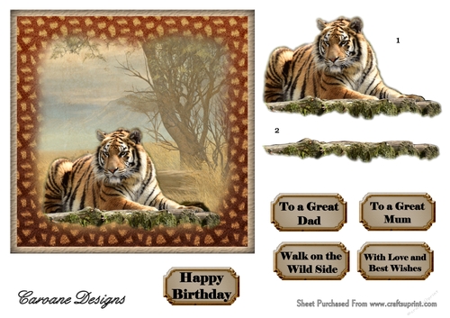 Walk on the Wild Side 2 - 6x6 inch card front with decoupage