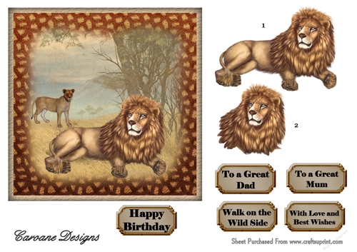 Walk on the Wild Side 3 - 6x6 inch card front with decoupage