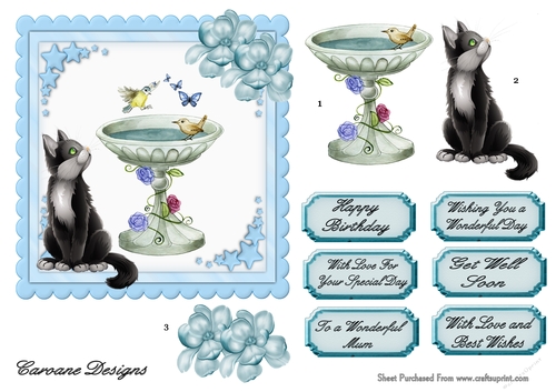 Birdies Bath Time - 6x6 inch card front with decoupage