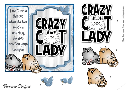 Crazy Cat Lady 5 - 6x6 inch card front with decoupage