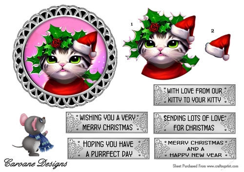 From Our Kitty to Your Kitty 1 - 5 inch circular topper with decoupage and 5 greeting boxes