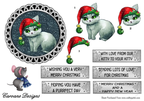 From Our Kitty to Your Kitty 2 - 5 inch circular topper with decoupage and 5 greeting boxes