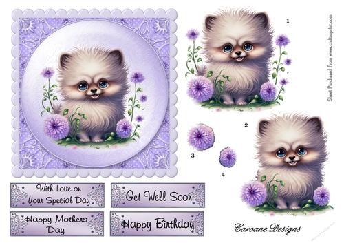 Beautiful Pom Puppy - 6X6 inch card front with decoupage