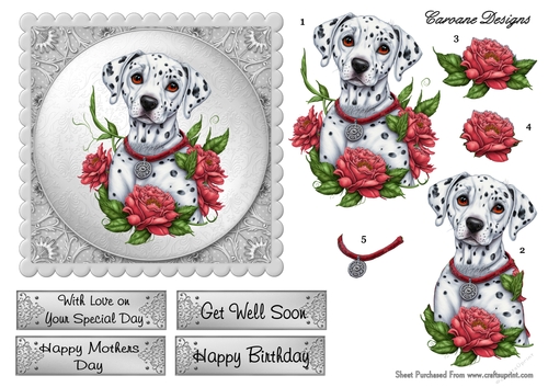 Beautiful Dalmation Puppy - 6X6 inch card front with decoupage
