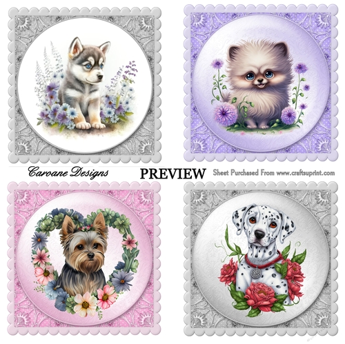 Beautiful Puppy Dog Bumper Kit 8 - 10 sheets, Card fronts, decoupage, inserts, and greeting boxes