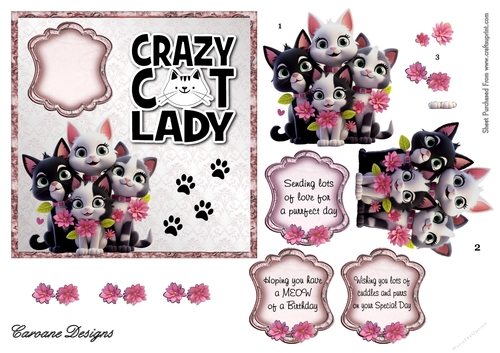  Crazy Cat Lady 7 - 6x6 inch card front with decoupage