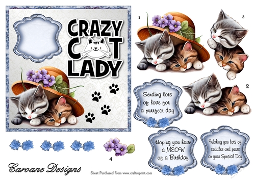  Crazy Cat Lady 8 - 6x6 inch card front with decoupage