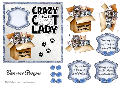  Crazy Cat Lady 9 - 6x6 inch card front with decoupage