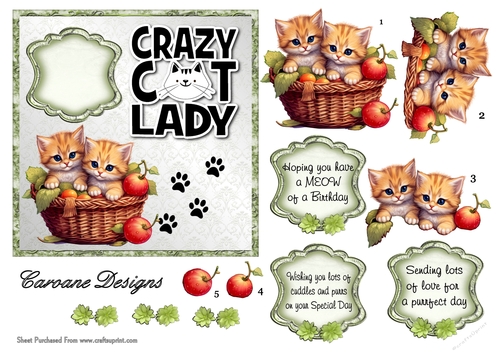  Crazy Cat Lady 10 - 6x6 inch card front with decoupage