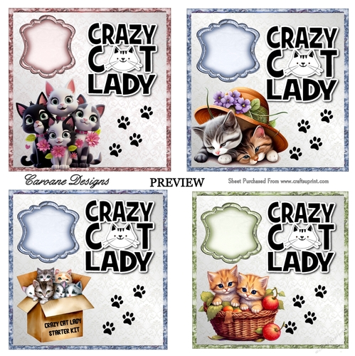 Crazy Cat Lady Bumper Kit 38 -9 sheets, Card fronts, decoupage, inserts, and greeting boxes 