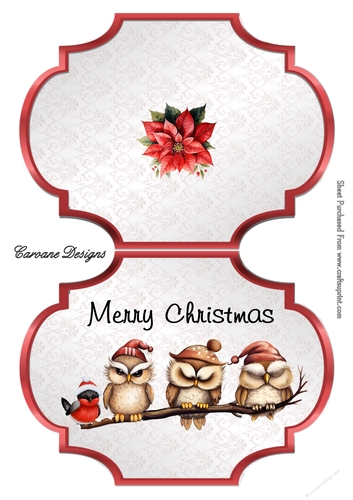 Christmas Owls - 2 Page Shaped card mini kit.