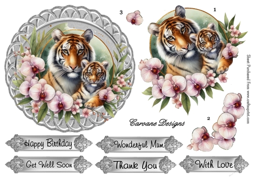 Animal Magic 2 - 6x6 inch circular card front with decoupage  