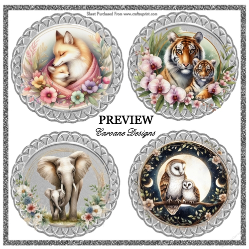 Animal Magic -  9 Page Bumper Kit 48 - 9 sheets, card fronts, decoupage, inserts, and greeting boxes 