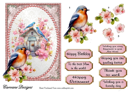 Pretty Birdhouse 1 - 7x5 inch card front with decoupage  