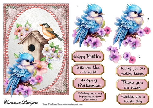 Pretty Birdhouse 2 - 7x5 inch card front with decoupage  