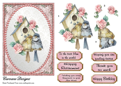 Pretty Birdhouse 3 - 7x5 inch card front with decoupage  