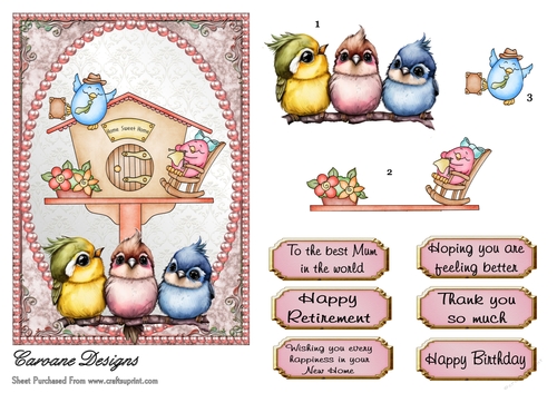 Pretty Birdhouse 4 - 7x5 inch card front with decoupage  