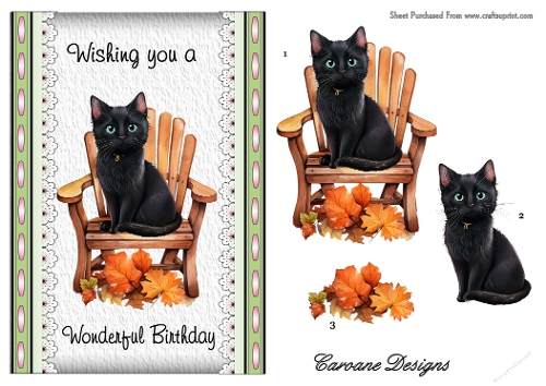 Kitties Galore 2 - A5 inch card front with decoupage  