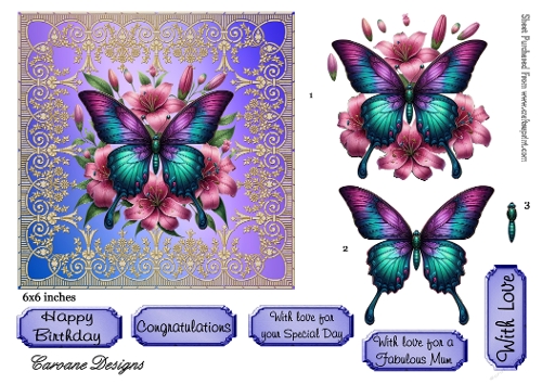 Butterfly Fiesta 1 - 6x6 inch card front with decoupage  