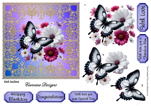 Butterfly Fiesta 2 - 6x6 inch card front with decoupage  