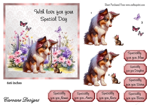 Special Pets 1 - 6x6 inch card front with decoupage  