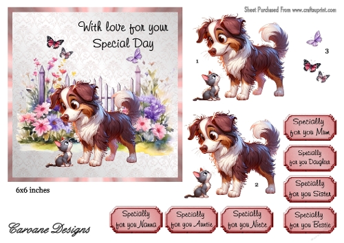 Special Pets 2 - 6x6 inch card front with decoupage  