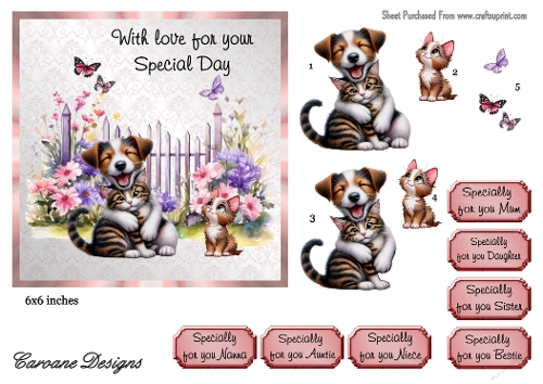 Special Pets 3 - 6x6 inch card front with decoupage  