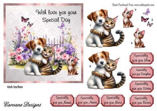 Special Pets 4 - 6x6 inch card front with decoupage  