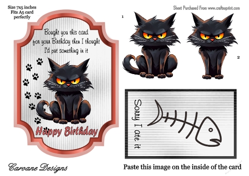 Crazy Birthdays 1 - A5 topper with decoupage  