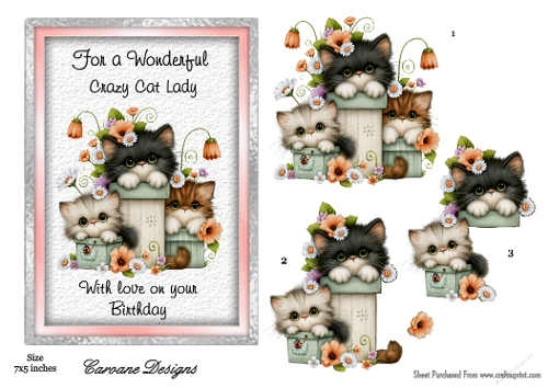 Crazy Cat Lady 1 - 7x5 inch card front with decoupage  