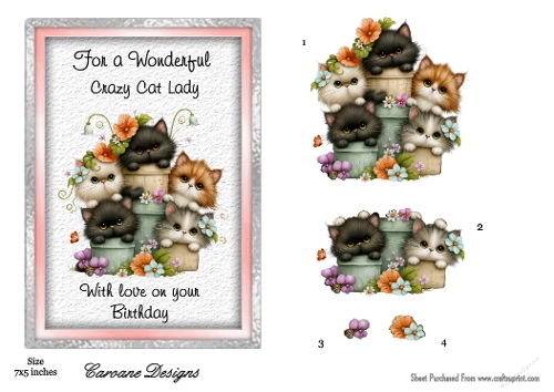 Crazy Cat Lady 2 - 7x5 inch card front with decoupage  