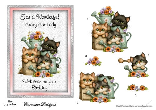 Crazy Cat Lady 3 - 7x5 inch card front with decoupage  