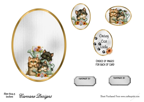 Matching insert sheet for the design sheet - Crazy Cat Lady 3