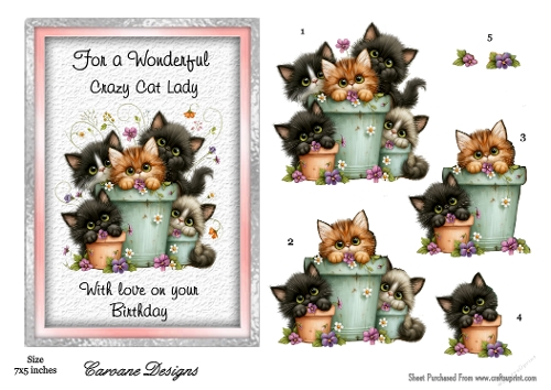 Crazy Cat Lady 4 - 7x5 inch card front with decoupage  