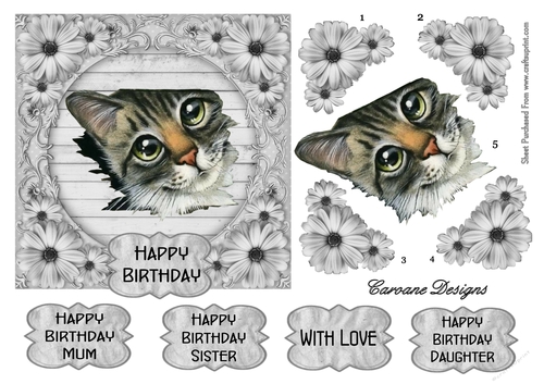 Thomas - 6 x 6 inch card front with decoupage
