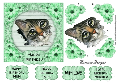 Thomas 3 - 6x6 inch card front with decoupage