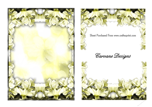 A5 background with decoupage - Lemon Floral