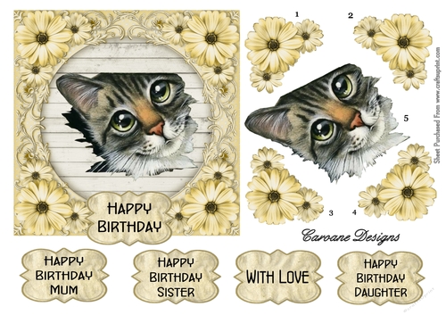 Thomas 5 - 6x6 inch card front with decoupage