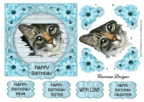 Thomas 6 - 6x6 inch card front with decoupage