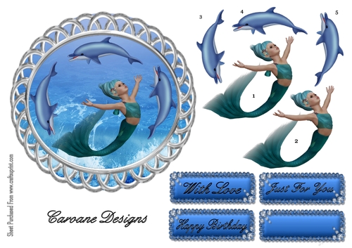Swim with Dolphins - 6 inch circular topper with decoupage.