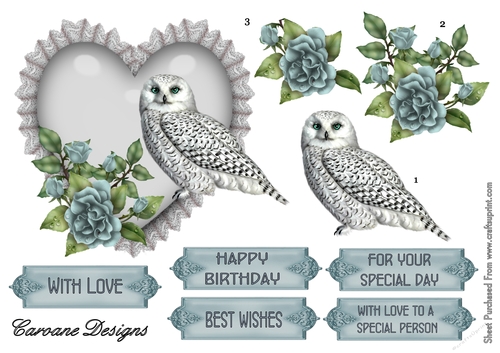 Bird of Prey - A5 topper with decoupage