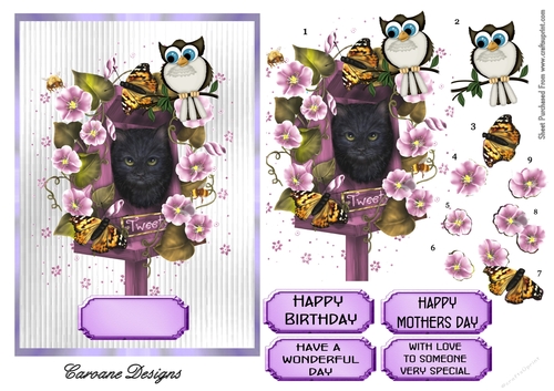 Tweety Pie 1 - A5 card front with decoupage