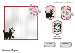 Matching blank insert for the design sheet - Crazy Cat Lady 1