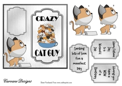 Crazy Cat Guy 1 - 6x6 inch card front with decoupage