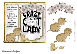 Crazy Cat Lady 6 - 6x6 inch card front with decoupage