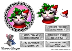 From Our Kitty to Your Kitty 1 - 5 inch circular topper with decoupage and 5 greeting boxes
