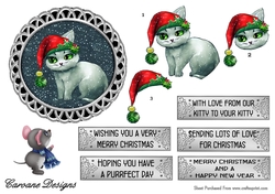 From Our Kitty to Your Kitty 2 - 5 inch circular topper with decoupage and 5 greeting boxes